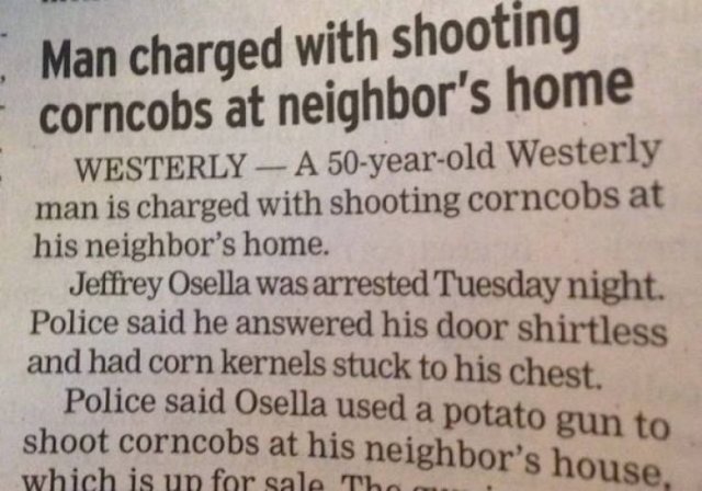 Welcome to America! (37 pics)