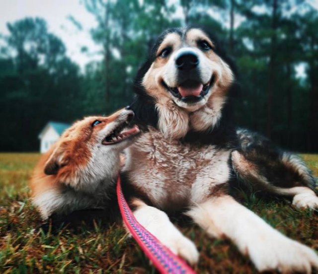 True Friendship (24 pics)