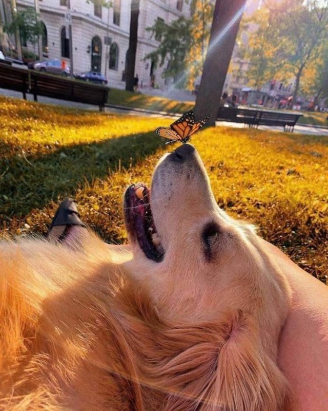 More Than Just Photos (48 pics)