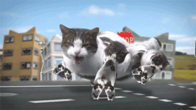 This Post Is About Cats (29 pics)