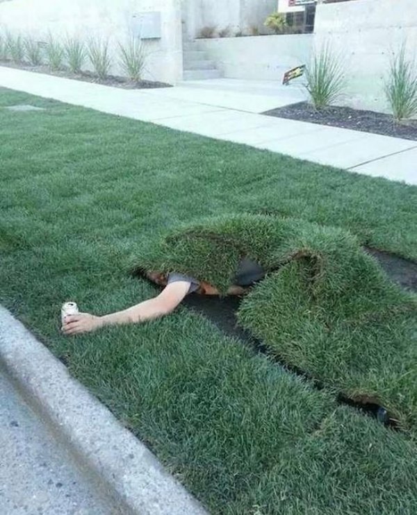 Bad Day (24 pics)