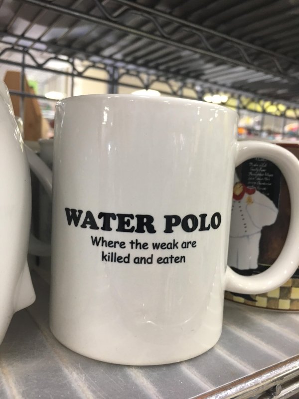 Found At Thrift Shops (33 pics)