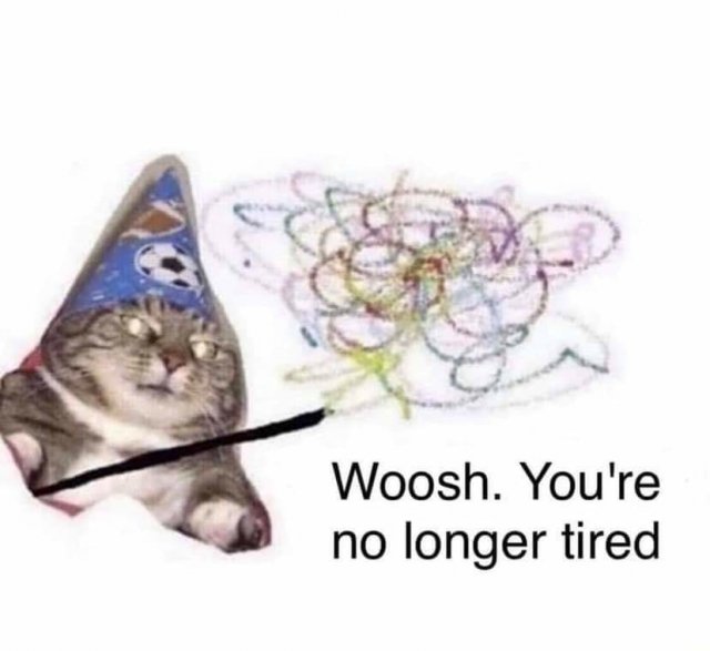 This Post Is About Cats (29 pics)
