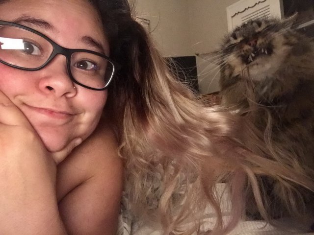 This Post Is About Cats (29 pics)