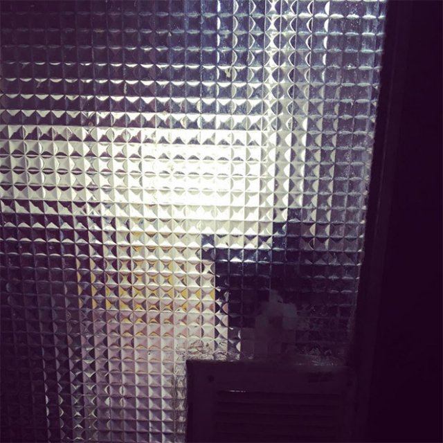This Post Is About Cats (29 pics)