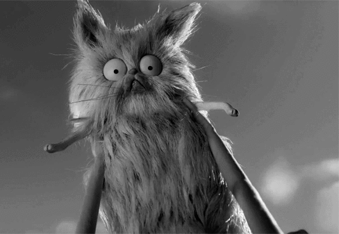 This Post Is About Cats (29 pics)