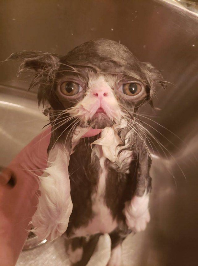 Acid Picdump. Part 1 (120 pics)