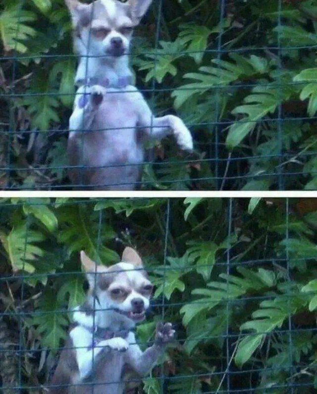 Acid Picdump. Part 1 (120 pics)