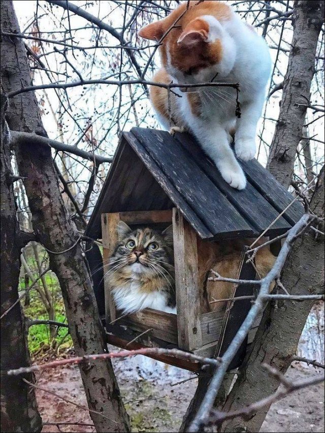 Acid Picdump. Part 1 (120 pics)