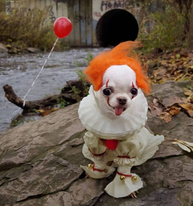 Acid Picdump. Part 1 (120 pics)