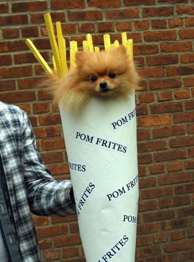 Acid Picdump. Part 1 (120 pics)