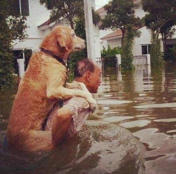 Acid Picdump. Part 1 (120 pics)