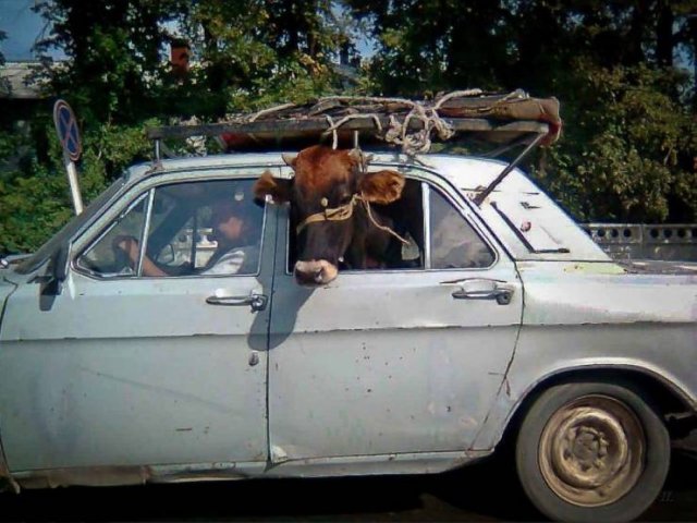 Acid Picdump. Part 1 (120 pics)