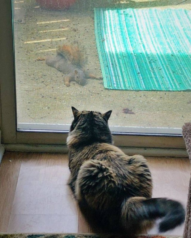 Acid Picdump. Part 1 (120 pics)