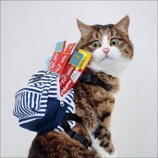 Acid Picdump. Part 1 (120 pics)