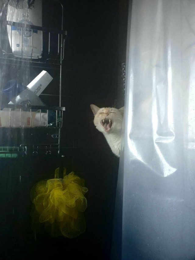 Acid Picdump. Part 1 (120 pics)