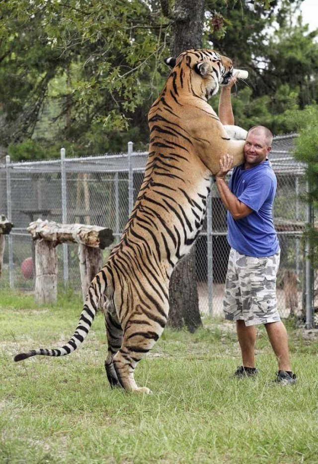 Acid Picdump. Part 1 (120 pics)