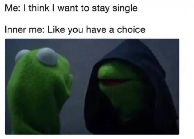 Memes About Being Single (27 pics)