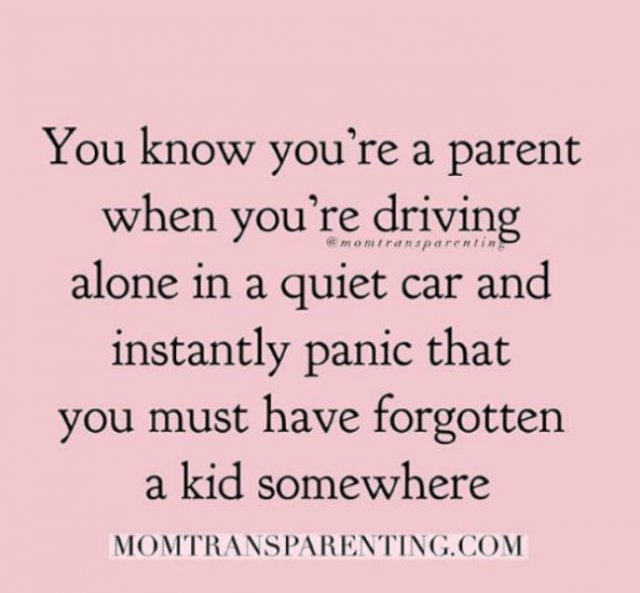 How To Be A Parent (39 pics)