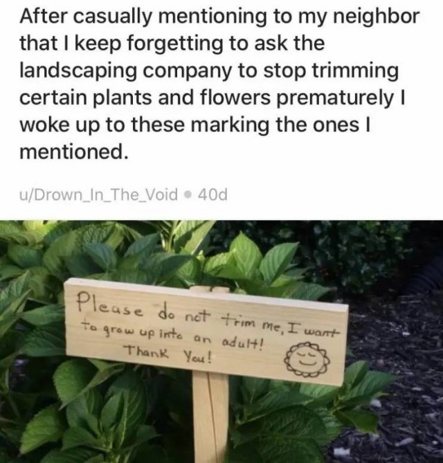 When You Have Good Neighbors (16 pics)