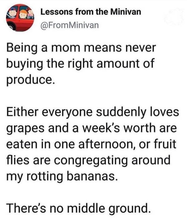 How To Be A Parent (39 pics)