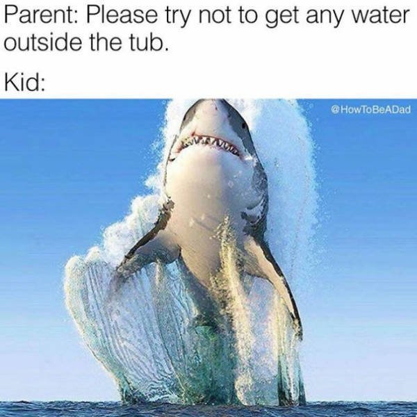How To Be A Parent (39 pics)