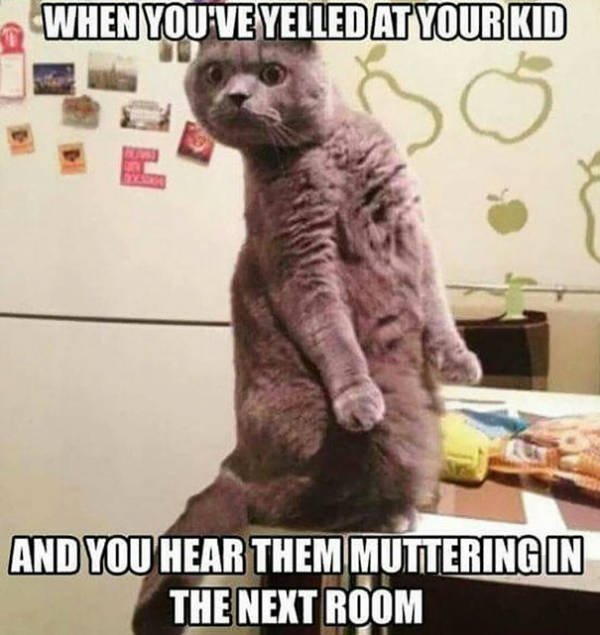 How To Be A Parent (39 pics)