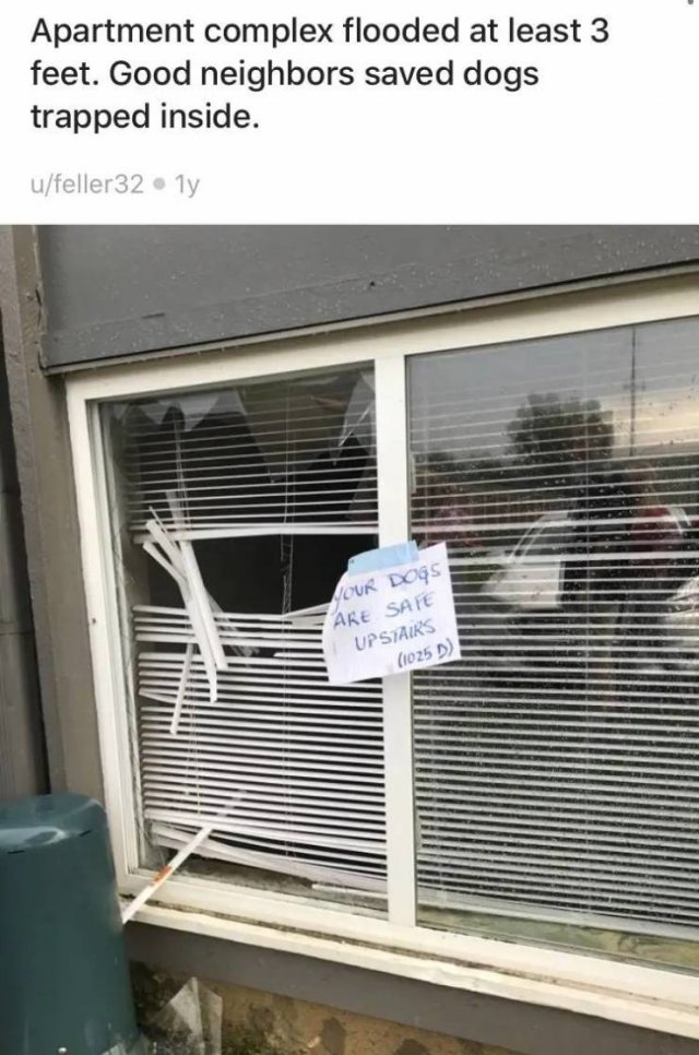 When You Have Good Neighbors (16 pics)