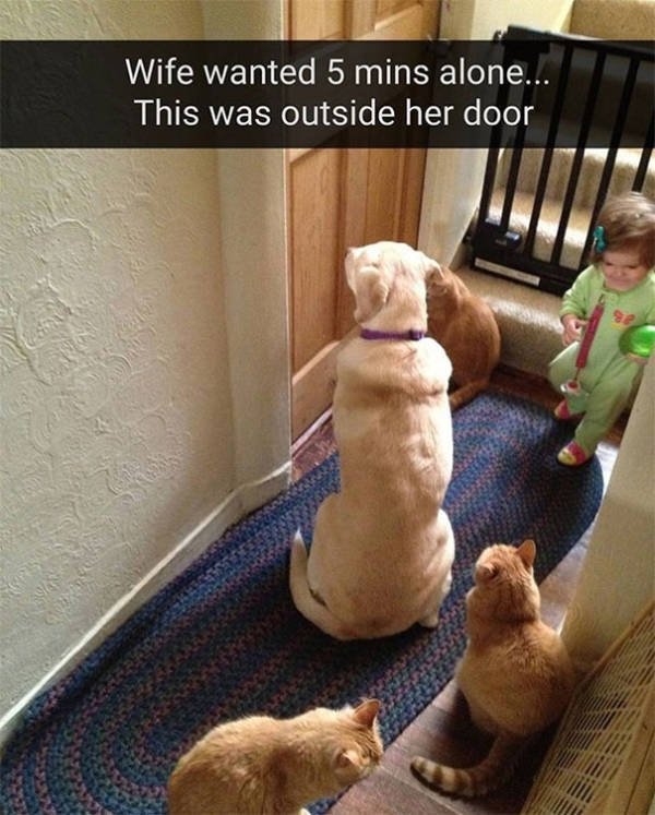 How To Be A Parent (39 pics)