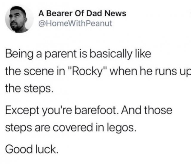 How To Be A Parent (39 pics)