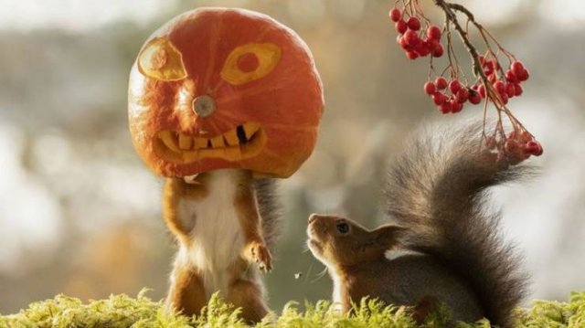 Acid Picdump. Part 2 (76 pics)