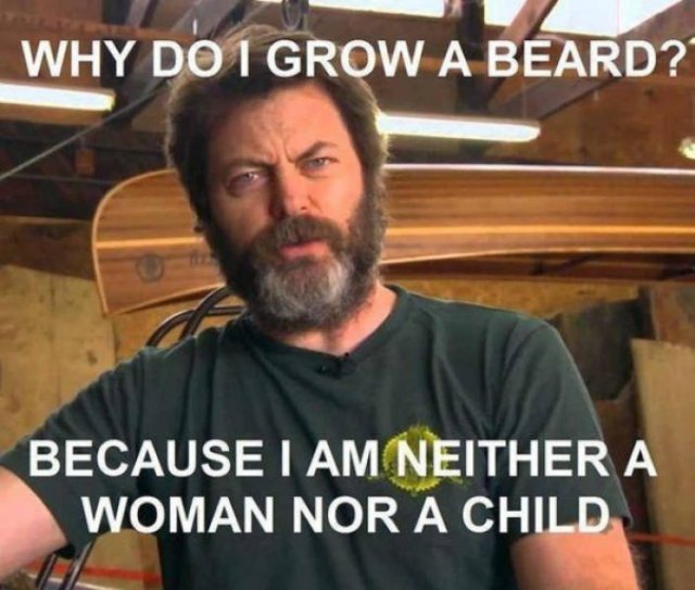 Beard Memes (44 pics)