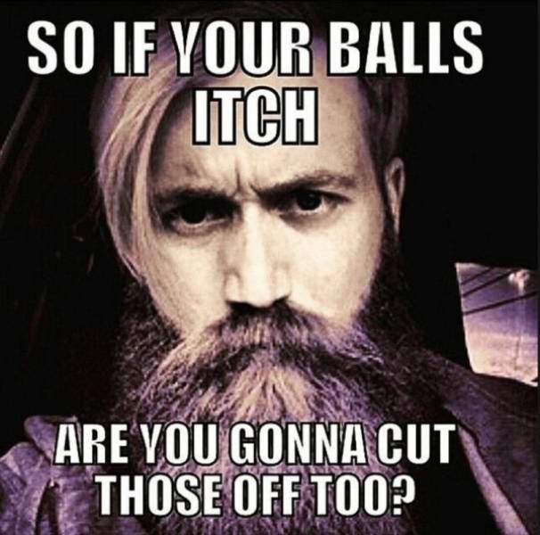 Beard Memes (44 pics)
