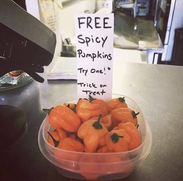 Weird Halloween Giveaways (15 pics)