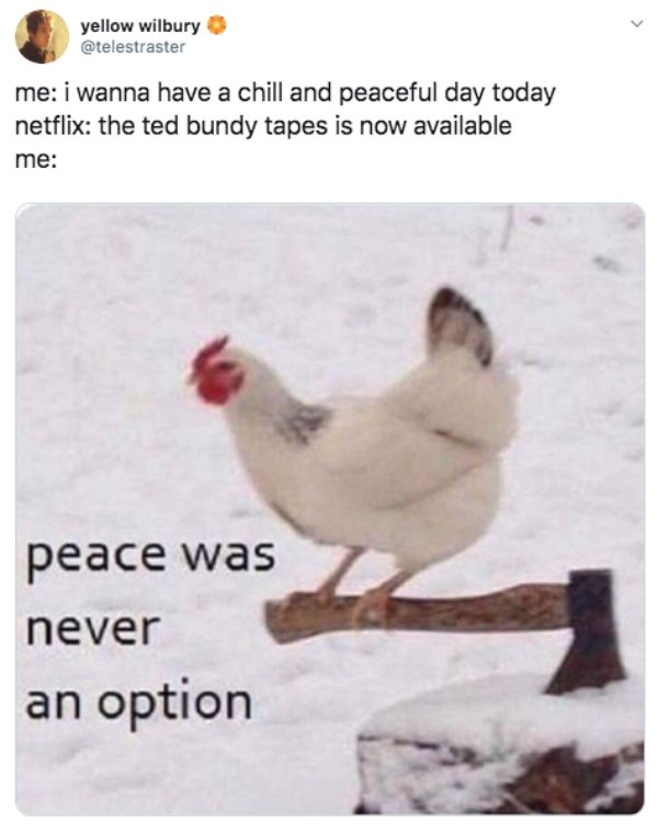 Netflix Memes (30 pics)