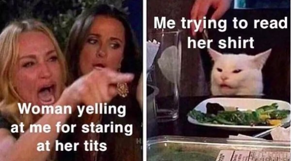 "Woman Yelling at a Cat" Memes (35 pics)
