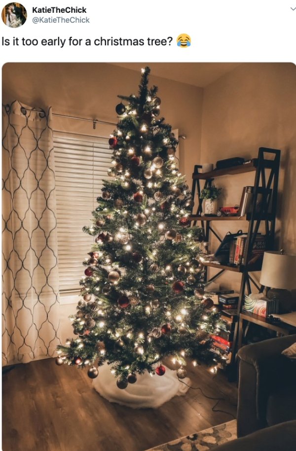 Is November Too Early For Christmas? (33 pics)