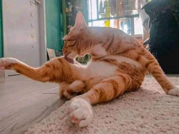 In The Right Place At The Right Time (38 pics)