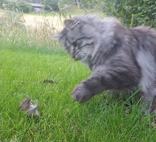 In The Right Place At The Right Time (38 pics)