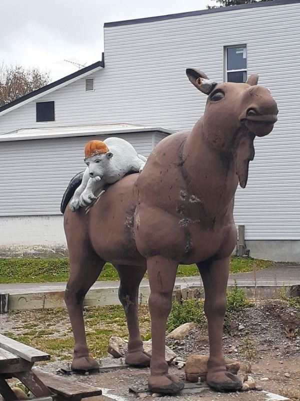 Welcome To Canada! (19 pics)
