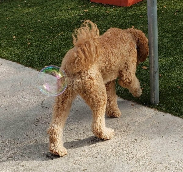 In The Right Place At The Right Time (38 pics)