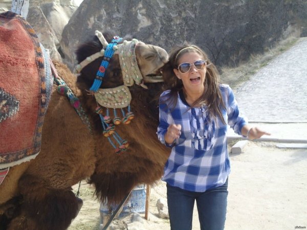In The Right Place At The Right Time (38 pics)