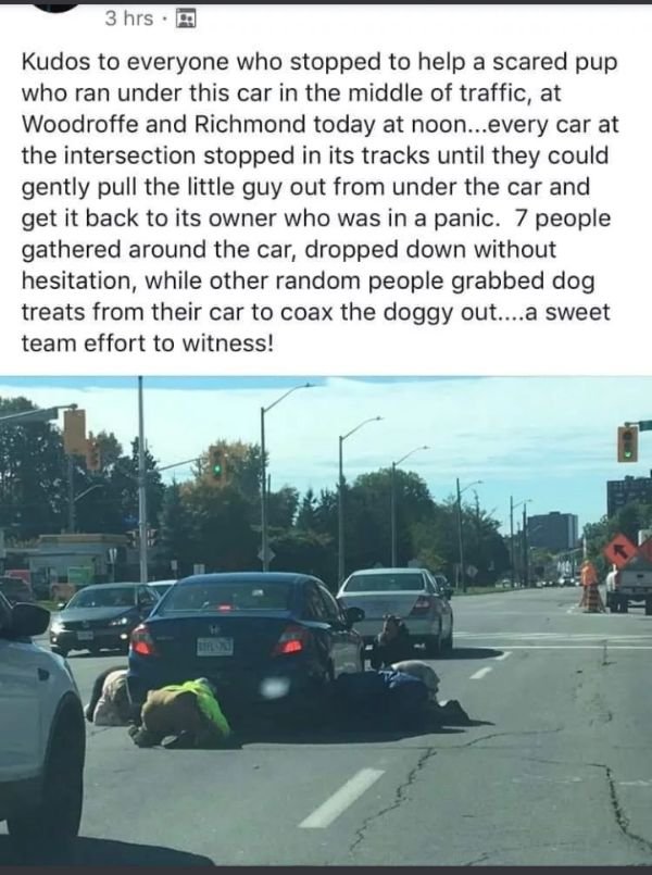 Welcome To Canada! (19 pics)
