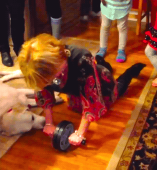 When Grandkids Stay With Grandparents... (20 gifs)