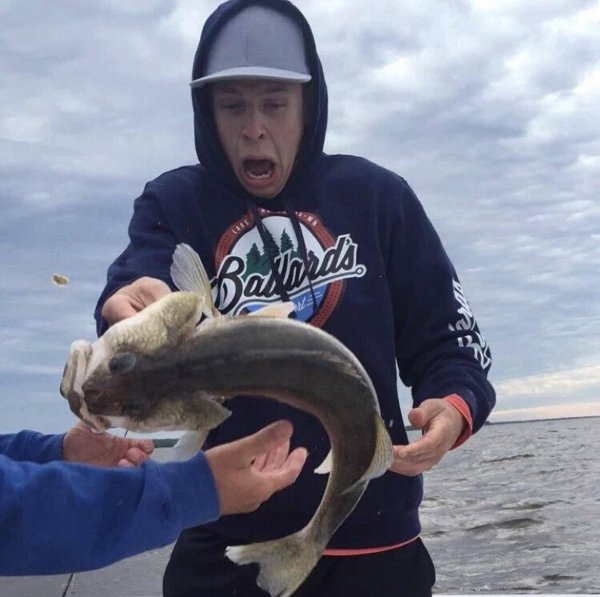 In The Right Place At The Right Time (38 pics)