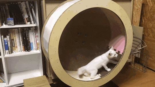 Acid Gifdump, November 6 (25 gifs)