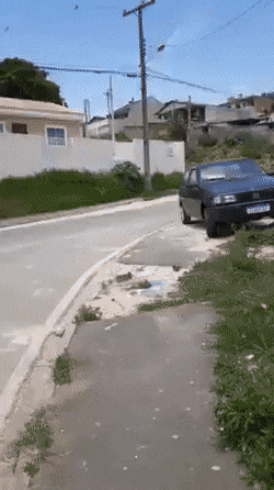 Acid Gifdump, November 6 (25 gifs)