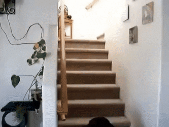 Acid Gifdump, November 6 (25 gifs)