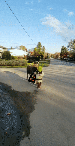 Acid Gifdump, November 6 (25 gifs)