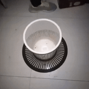 Acid Gifdump, November 6 (25 gifs)